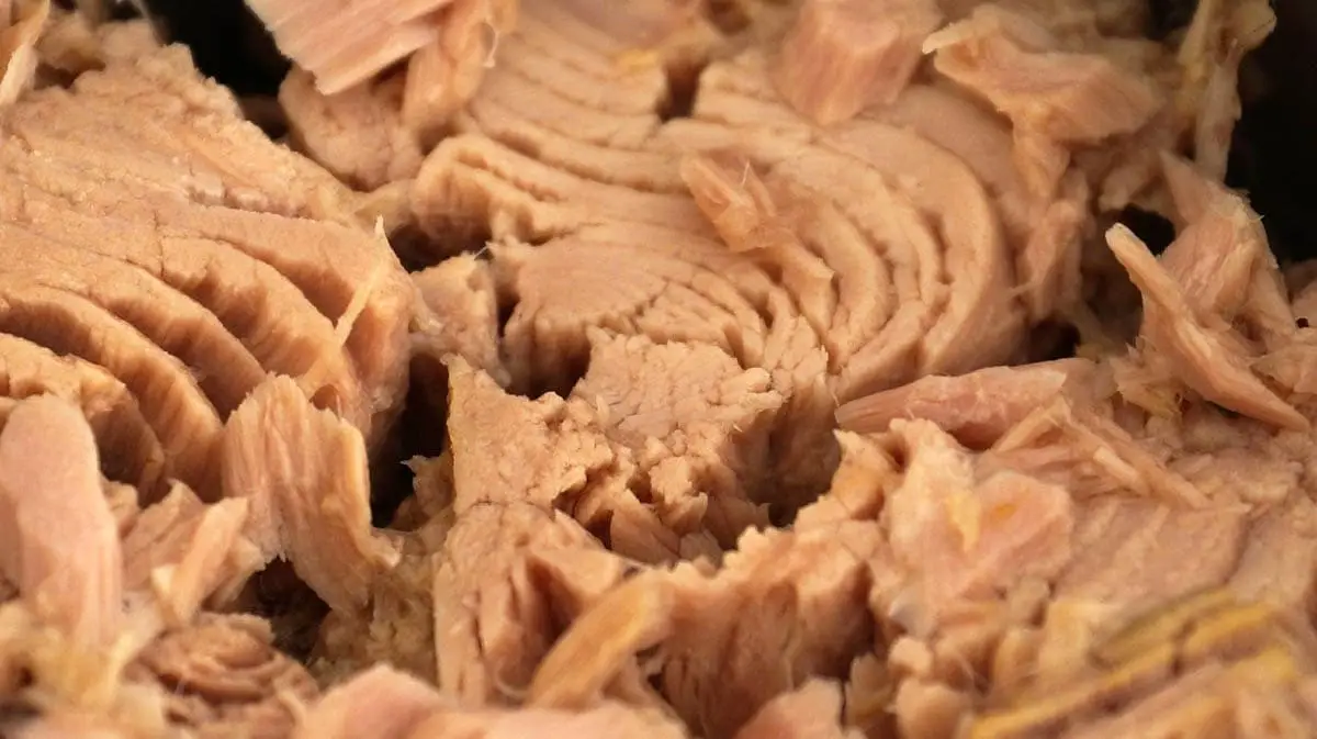Tinned tuna