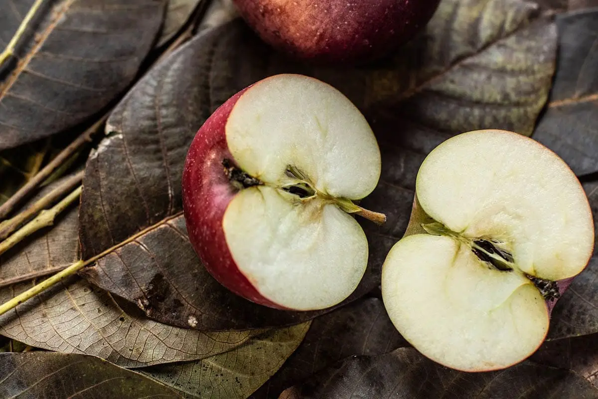 Apple seeds