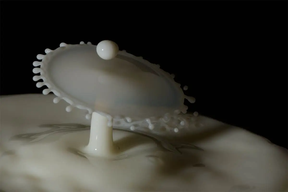 Milk