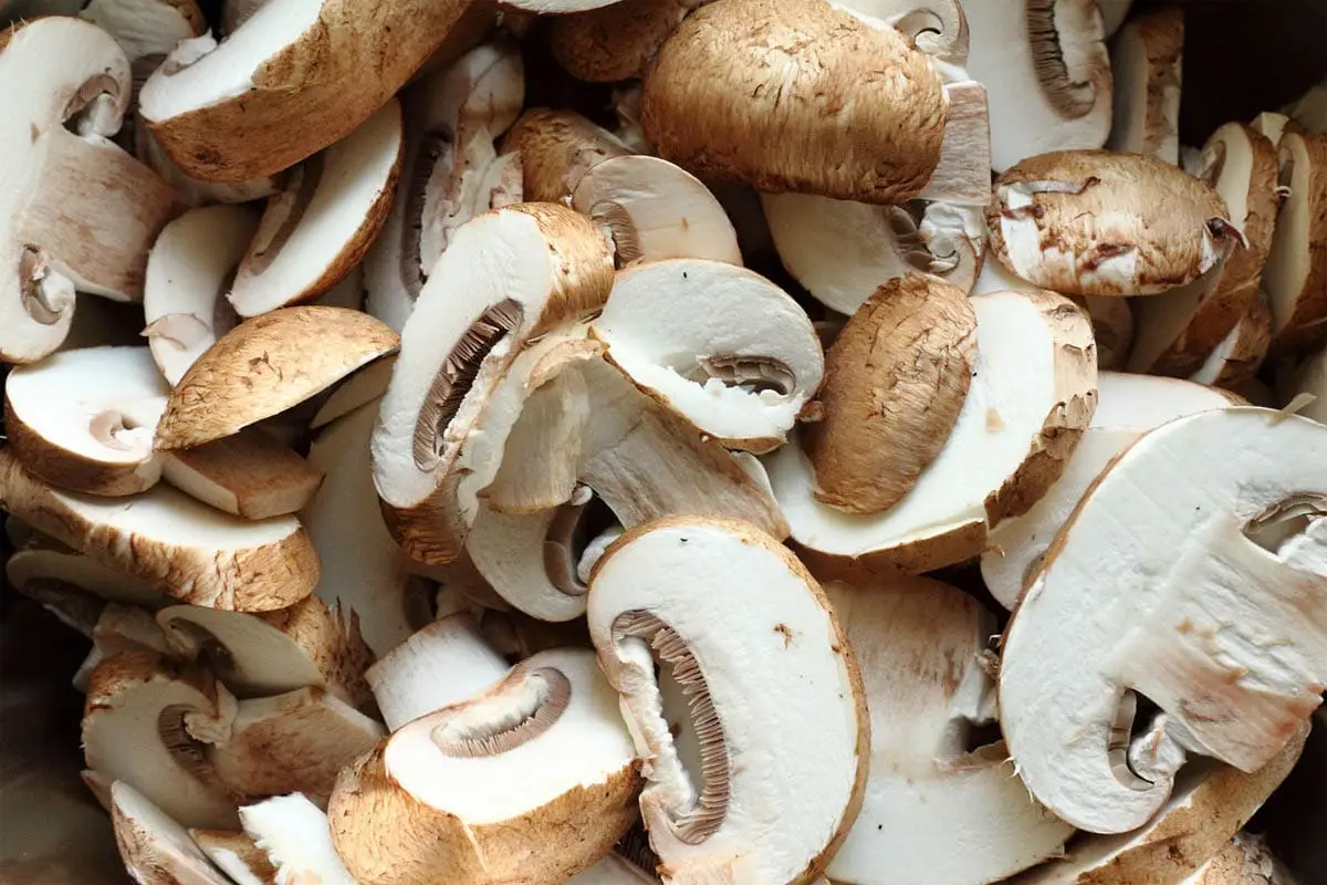 Mushrooms
