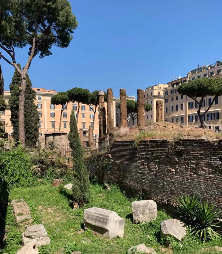 La Colonia Felina Romana Di Torre Argentina' title=