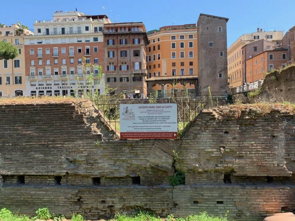 La Colonia Felina Romana Di Torre Argentina' title=