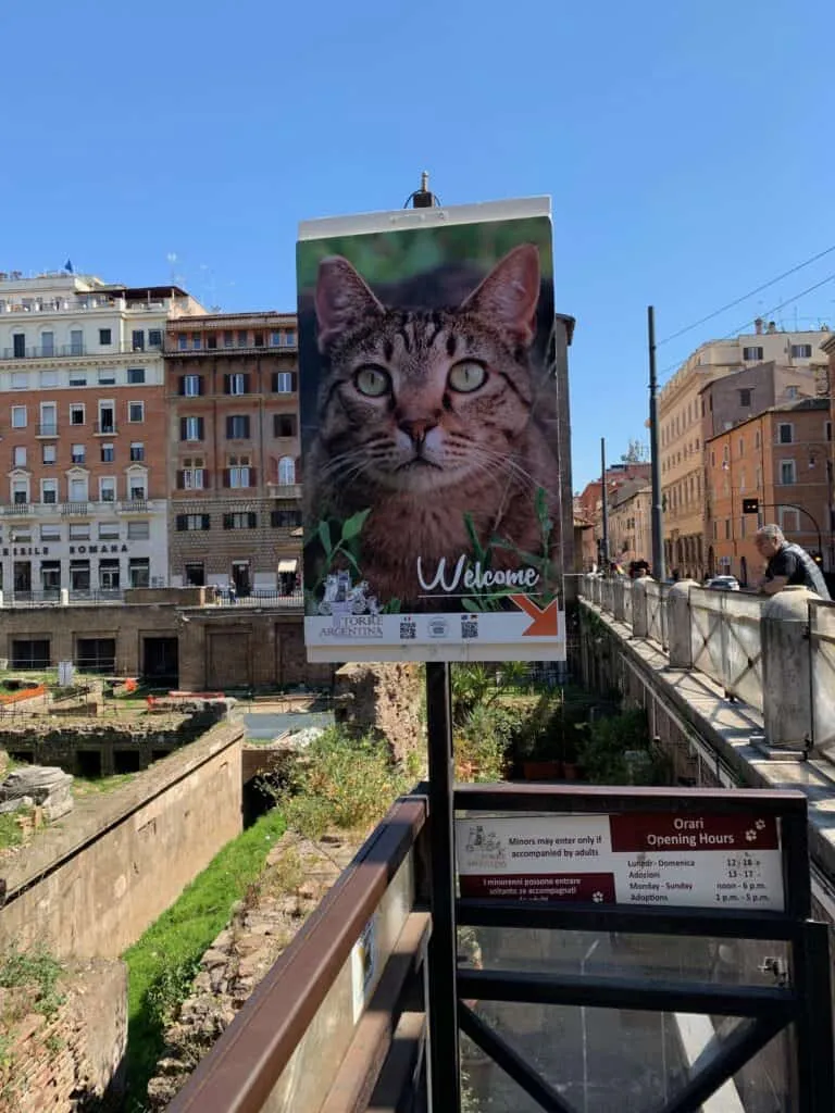 La Colonia Felina Romana Di Torre Argentina' title=