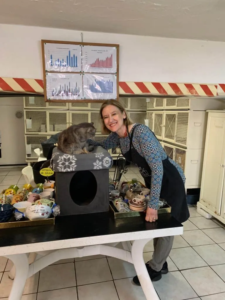 La Colonia Felina Romana Di Torre Argentina' title=