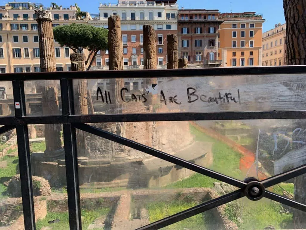 La Colonia Felina Romana Di Torre Argentina' title=