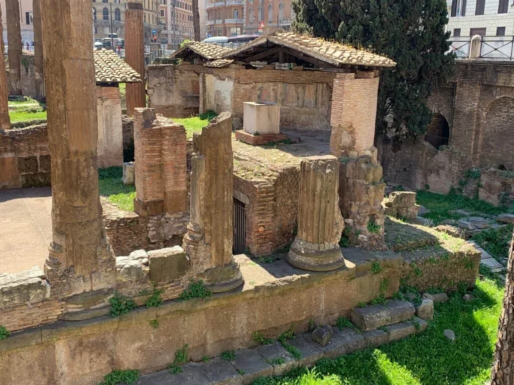 La Colonia Felina Romana Di Torre Argentina' title=