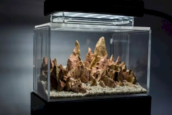 Acrylaquarium