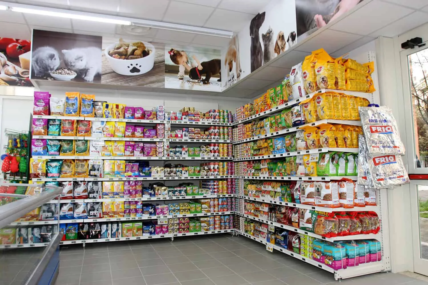 Comment choisir la bonne nourriture pour votre chat