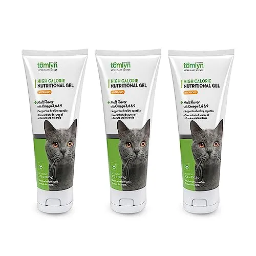 Ako prinútiť mačku, aby pribrala – odborné tipy, ktoré pomôžu vášmu miláčikovi prosperovať