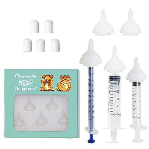 Ako prinútiť mačku, aby pribrala – odborné tipy, ktoré pomôžu vášmu miláčikovi prosperovať