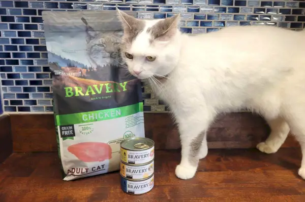 Nourriture pour chat Bravery avec chat