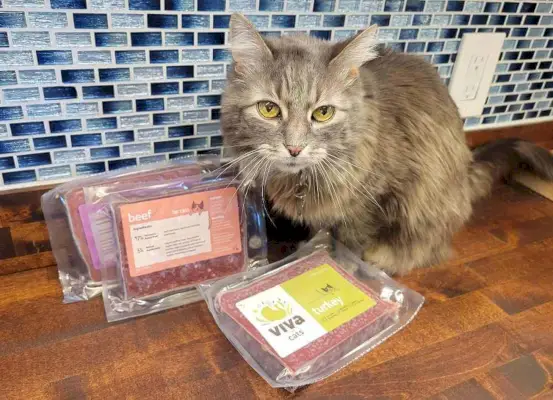 סקירת Viva Raw Food Cat