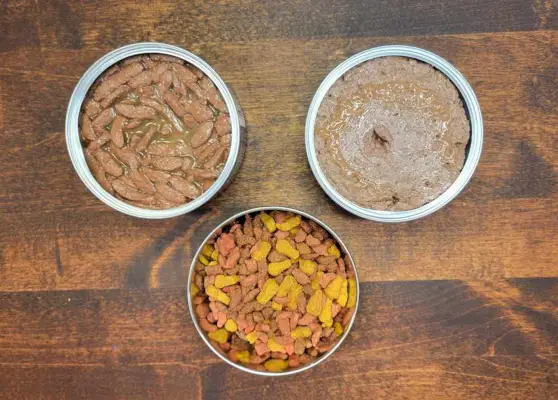 Produtos de comida para gatos Ashland Farms