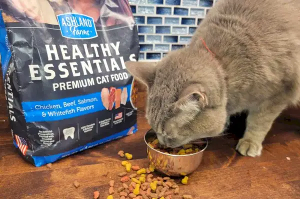 Ashland Farms Cat Food comida seca para gatos