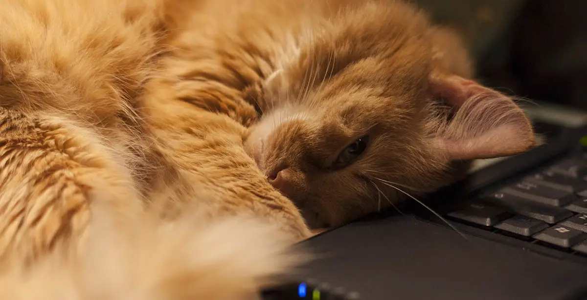 Helping you work