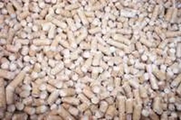 Wood pellet cat litter