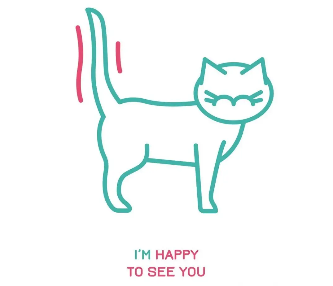 Upright cat tail