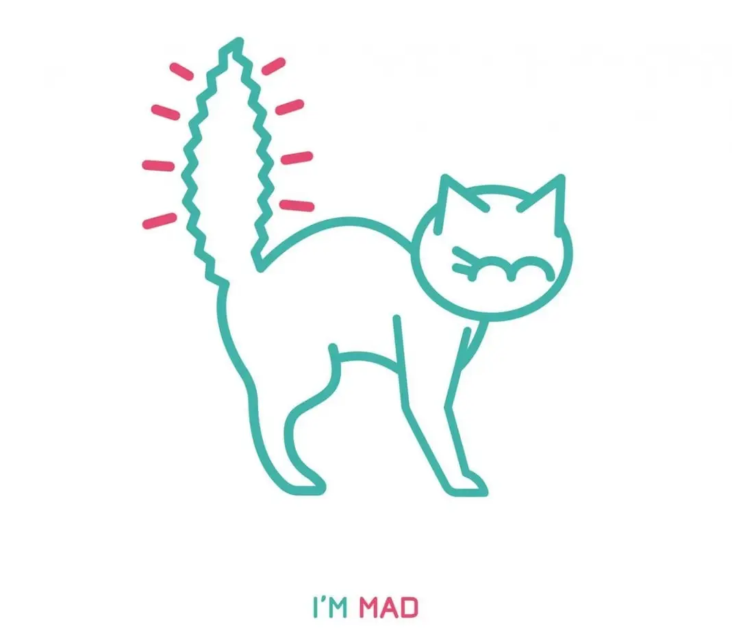 Erect cat tail