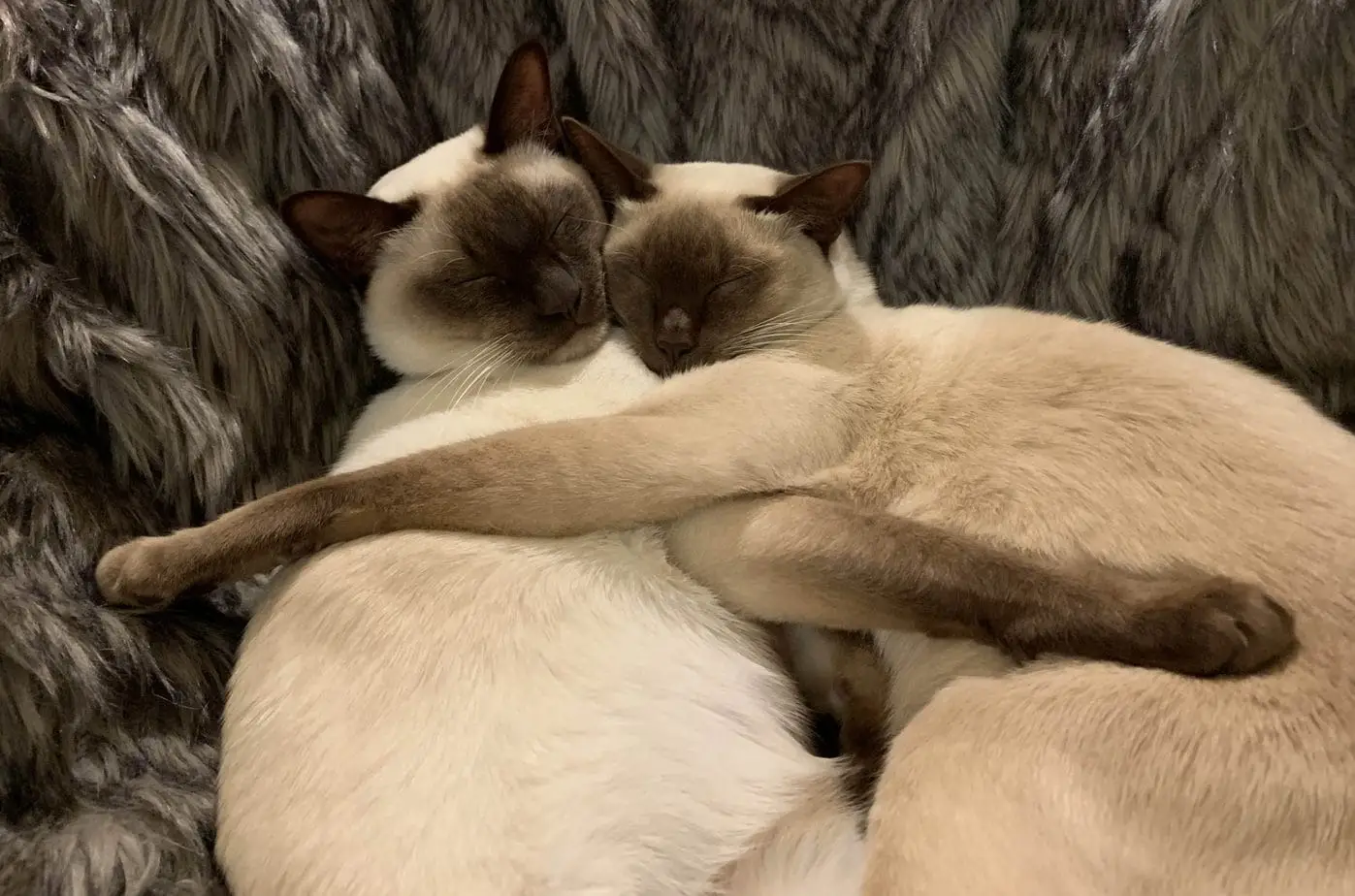 Calvin and Norman