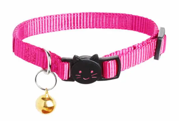 cat collar
