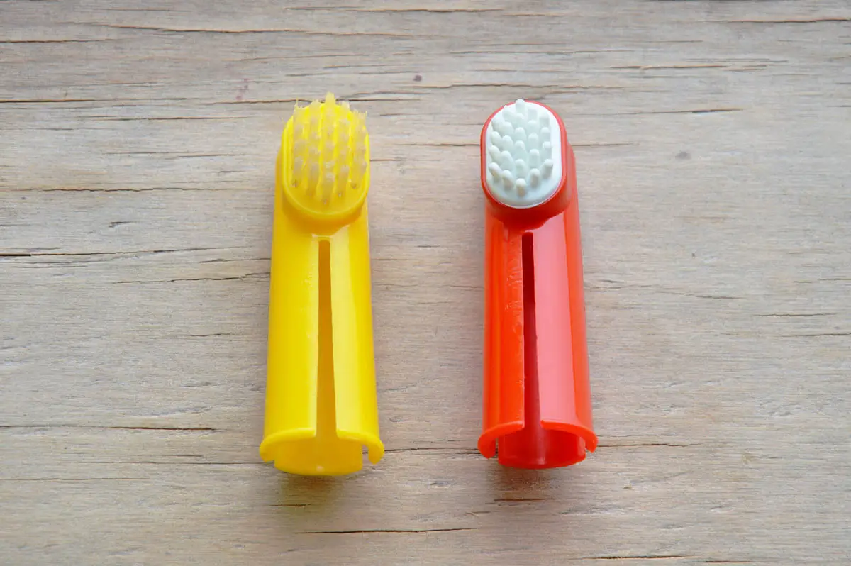Cat toothbrushes