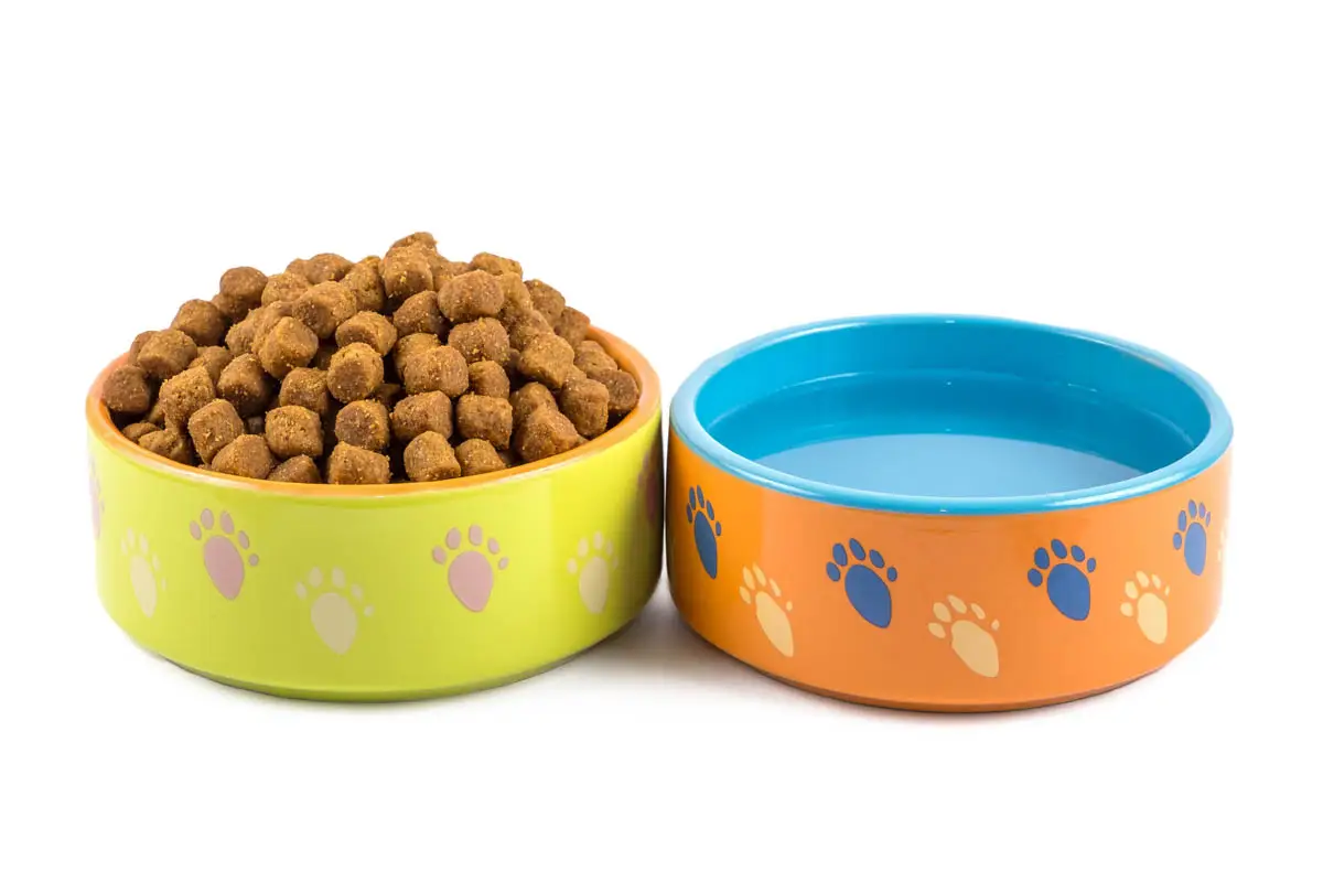 Pet food bowls