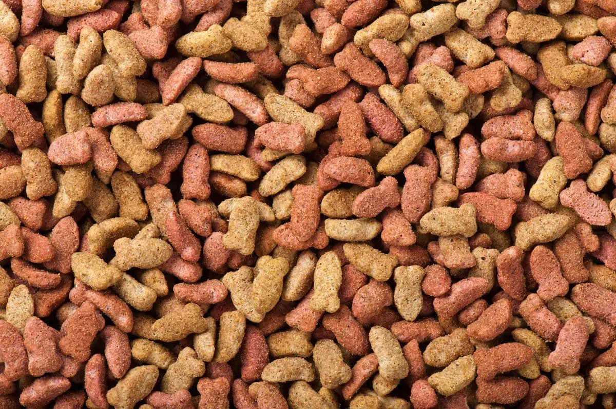 Cat food