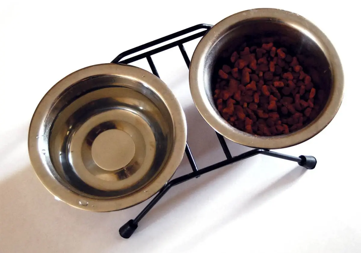 Stainless steel food and water bowls