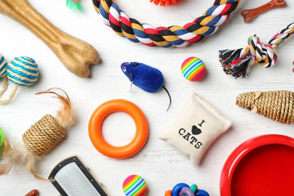Cat toys