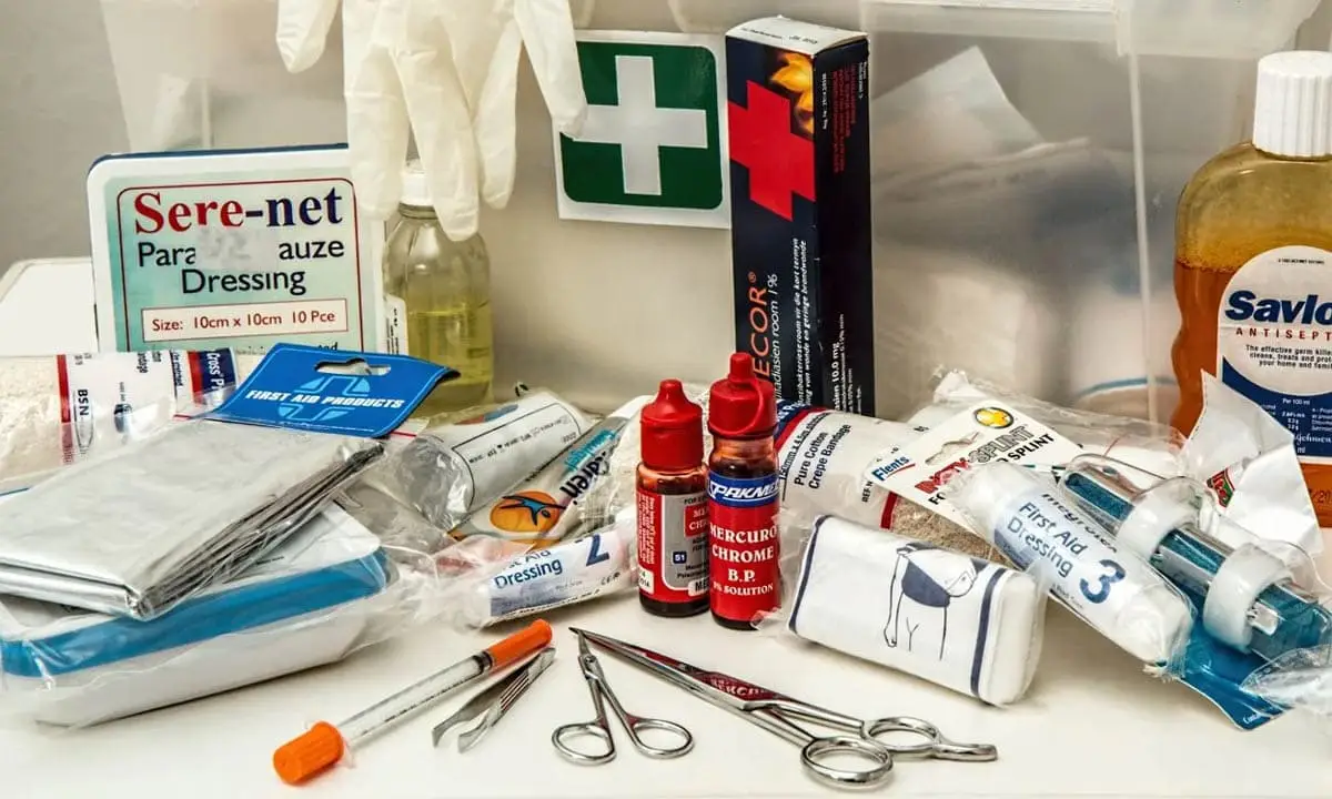 First aid kit for cats