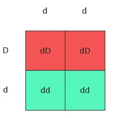 Punnett square