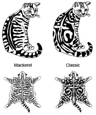 Difference between a classic and mackerel tabby
