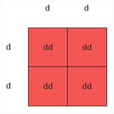 Homozygous dilute