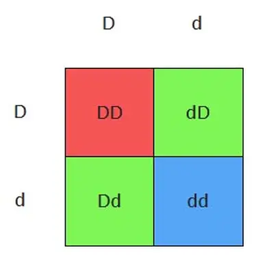 Heterozygous dilution