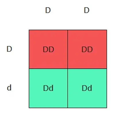 Dilution gene Punnett
