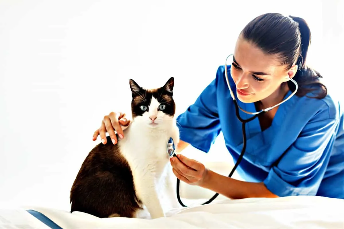 Cat Health Care ABC [Manualul proprietarului]