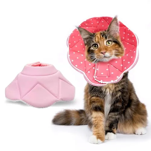 Kedi Konisi [Tam Kullanım Kılavuzu]