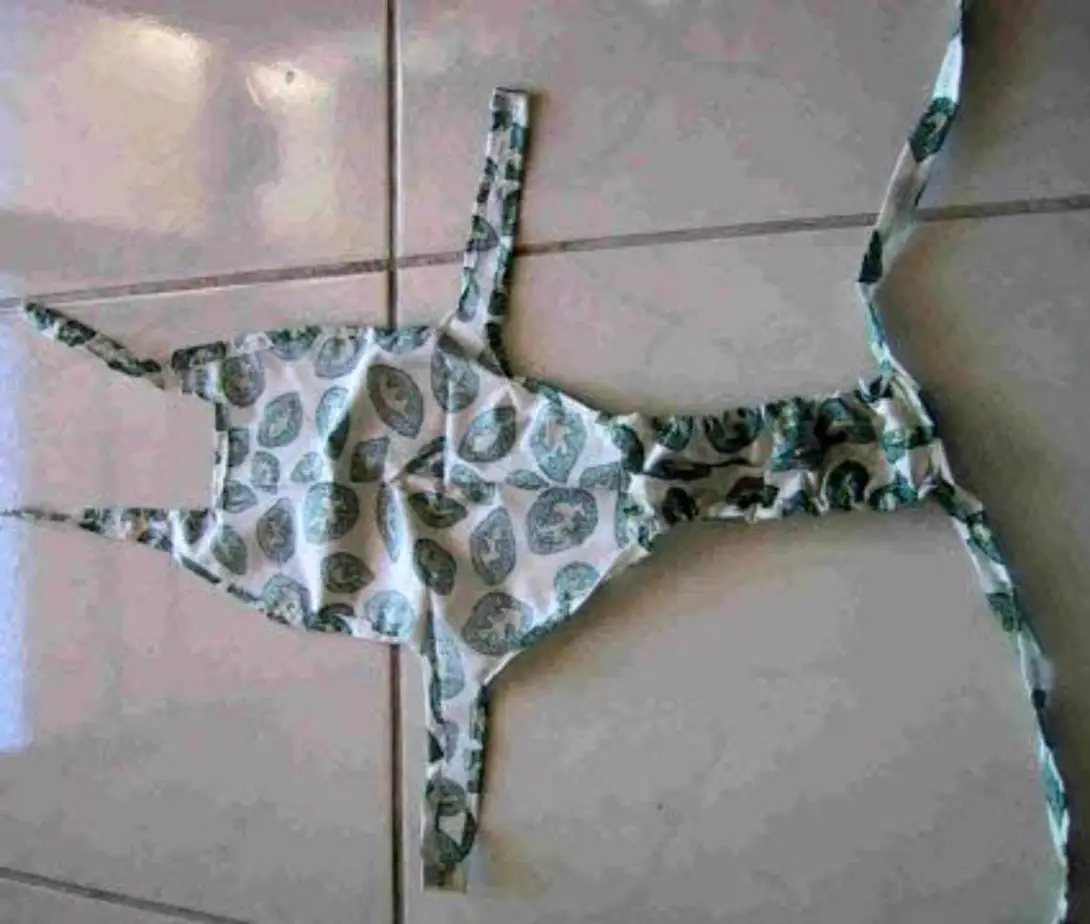Cat stud pants
