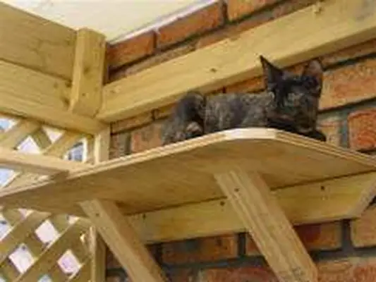 Home made cat enclosure