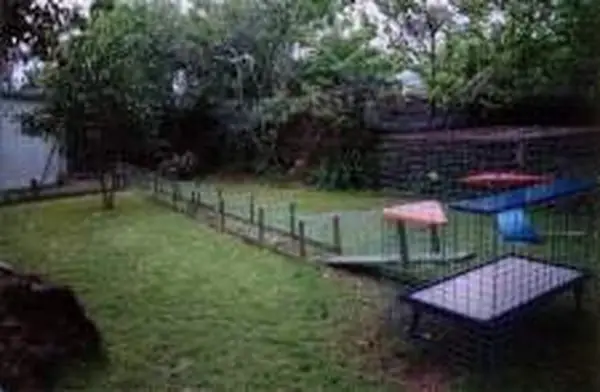 Cat Enclosure