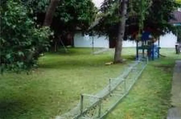 Cat Enclosure