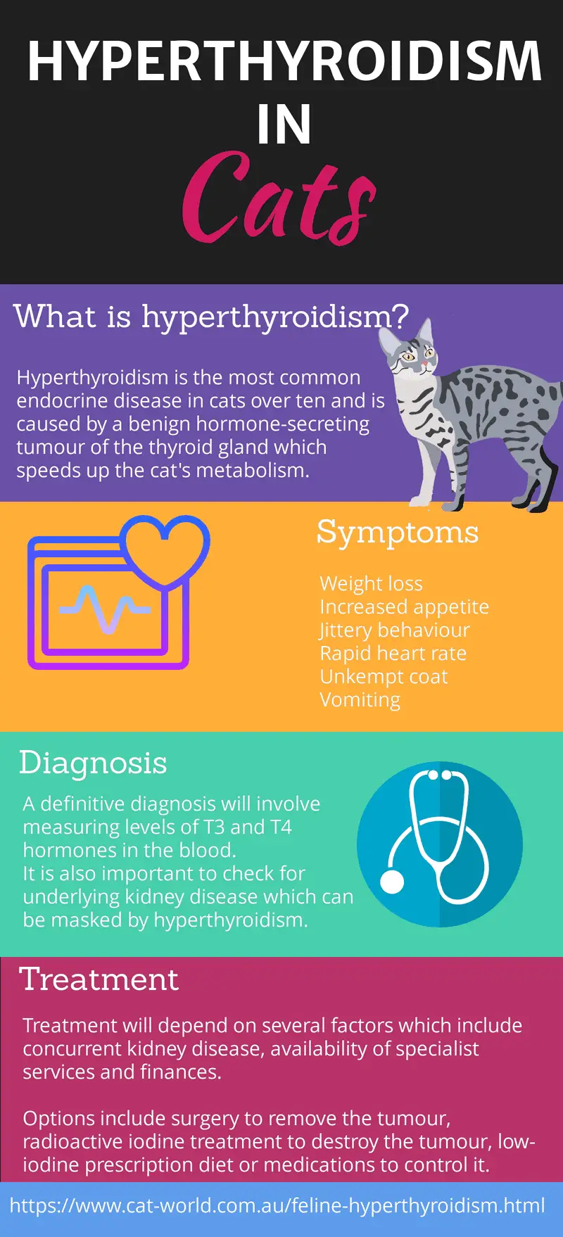 Feline acne symptoms