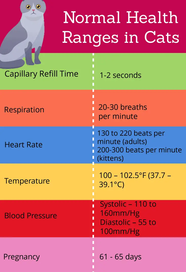 Normal health ranges in cats
