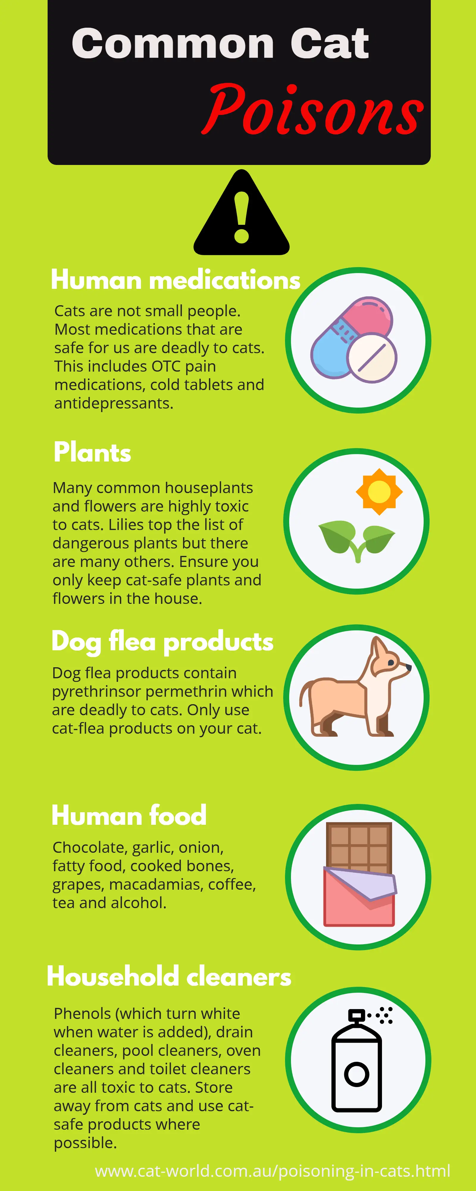 Antiseptics safe for cats