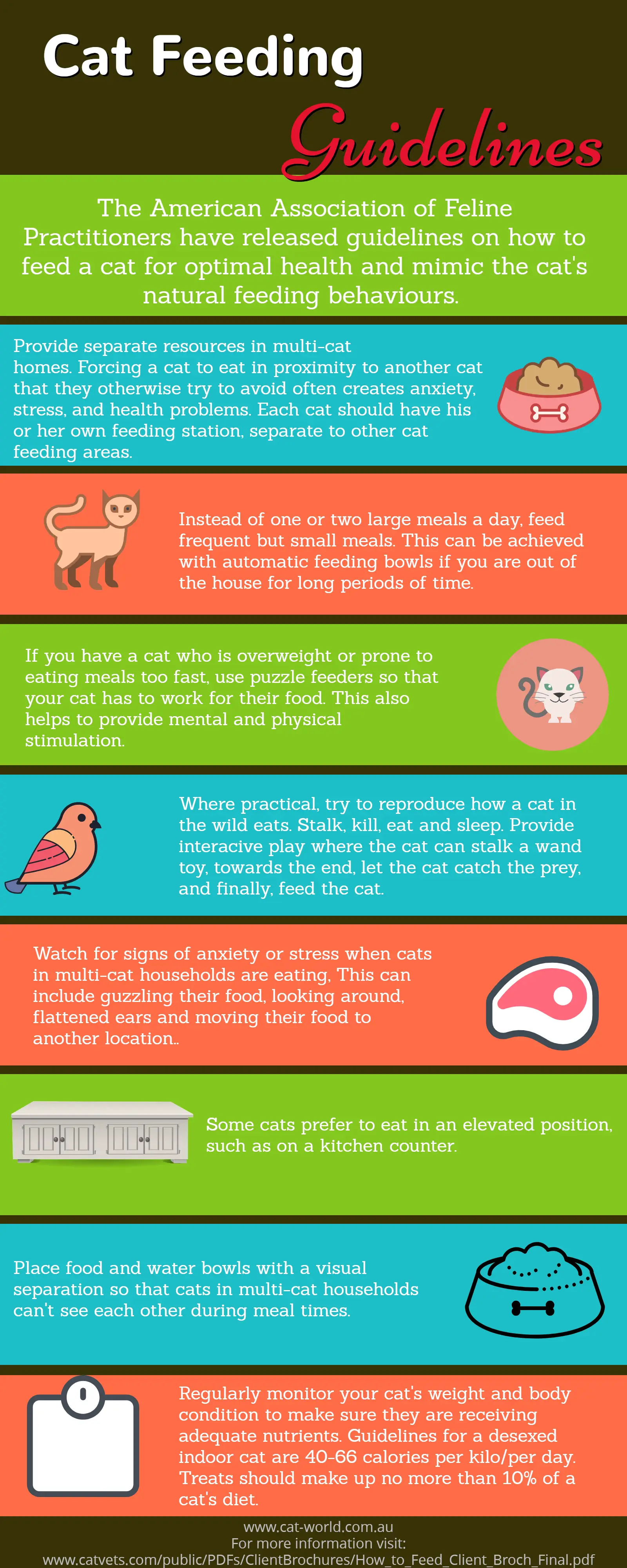 Symptoms of oral cancer in cats