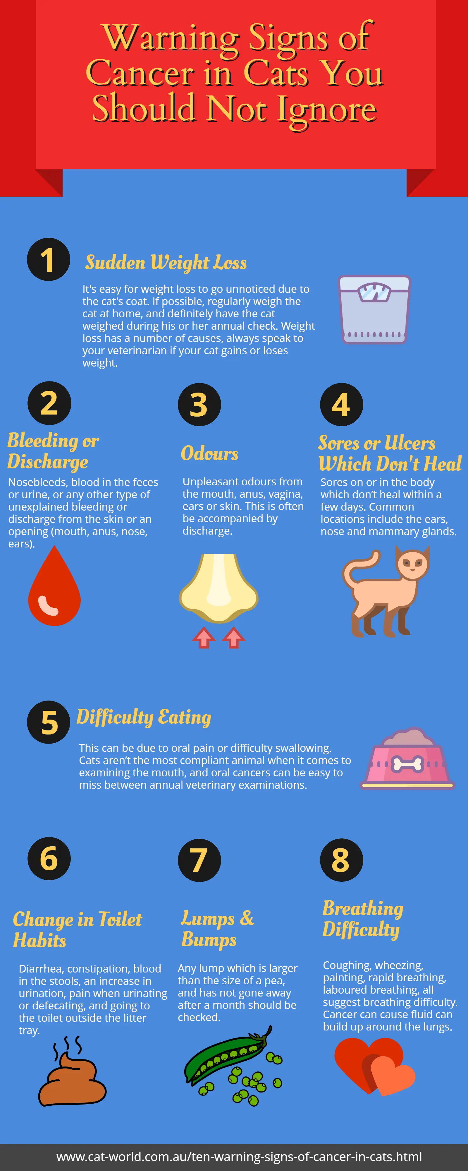 Easter pet safety for cats
