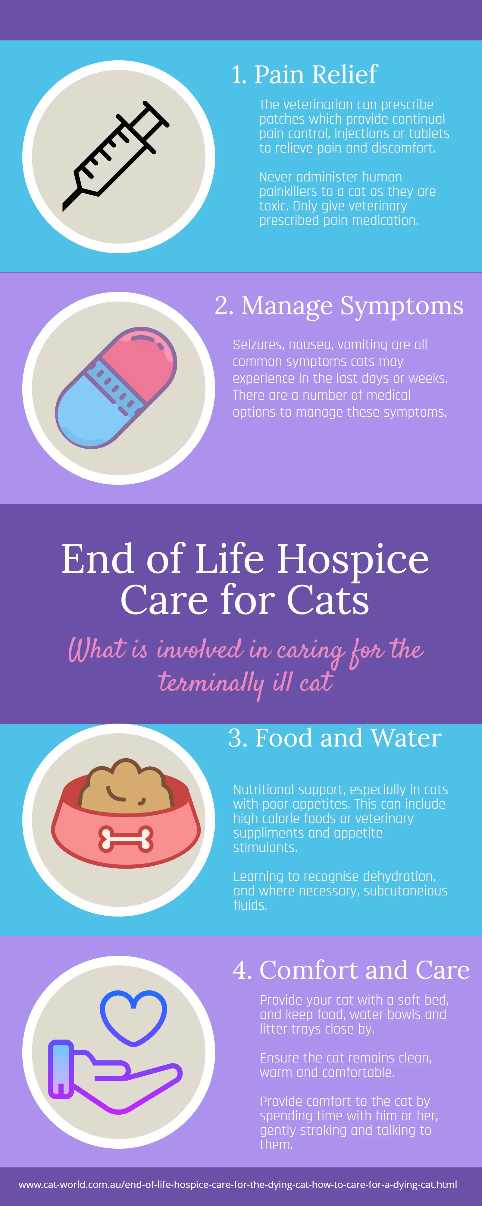 Lily toxicity in cats