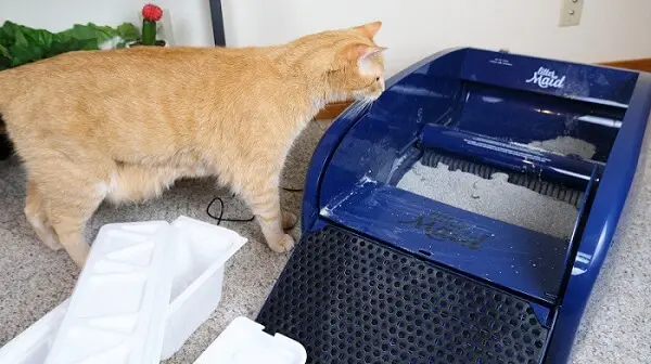 LitterMaid zelfreinigende kattenbak