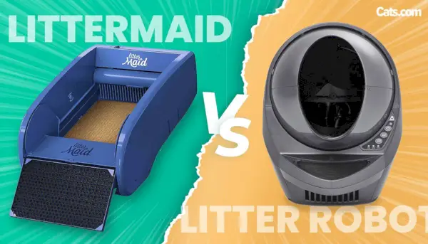 Litter-Robot vs LitterMaid esittelykuva