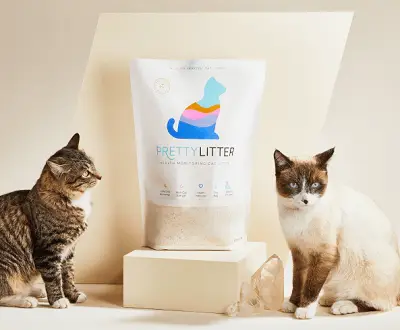 Afbeelding van Pretty Litter en kat met kattenbak